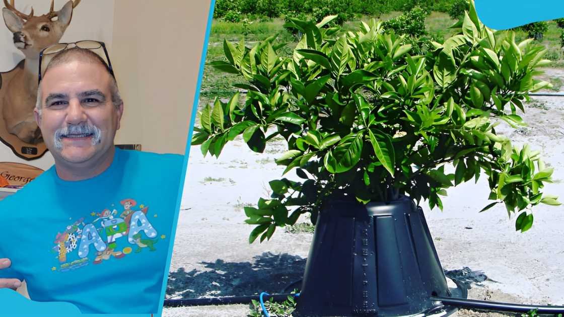 tree t pee net worth